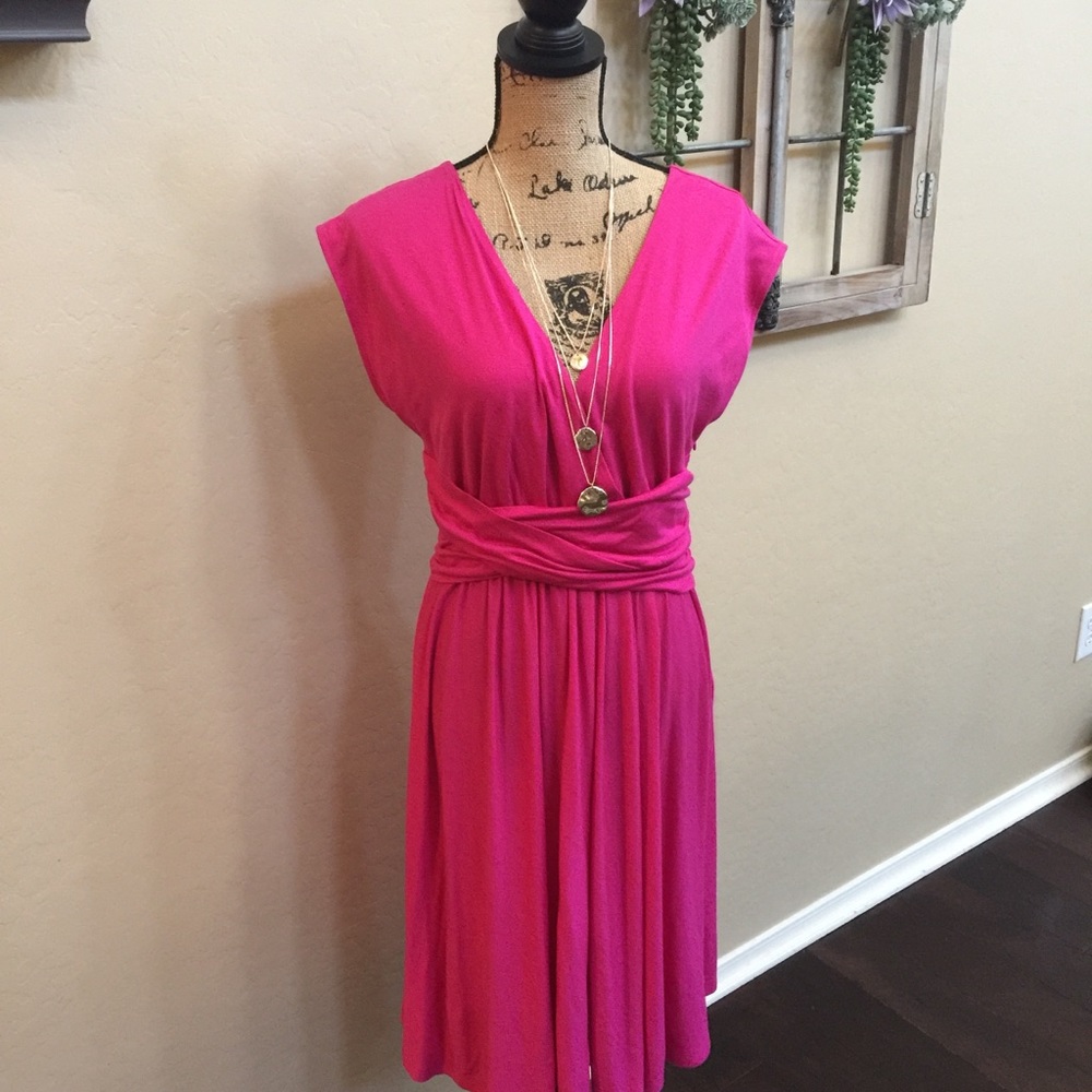 Ann Taylor Loft Pink Dress Sz M VNeck, Side Zip